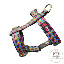 Szelki norweskie/Guard Oreo kolorowe