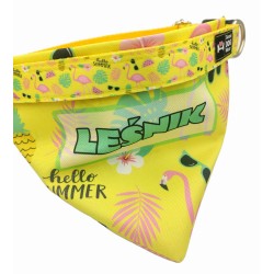 Obroża z chustką na rzep