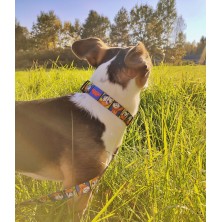 Obroża Kaczor Donald