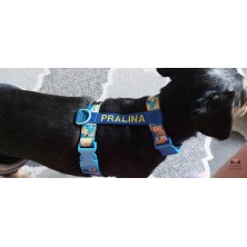 Szelki norweskie/Guard The Simpson