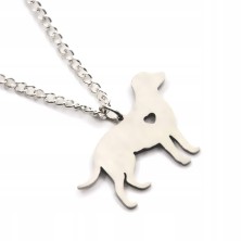 Naszyjnik Labrador/Golden...