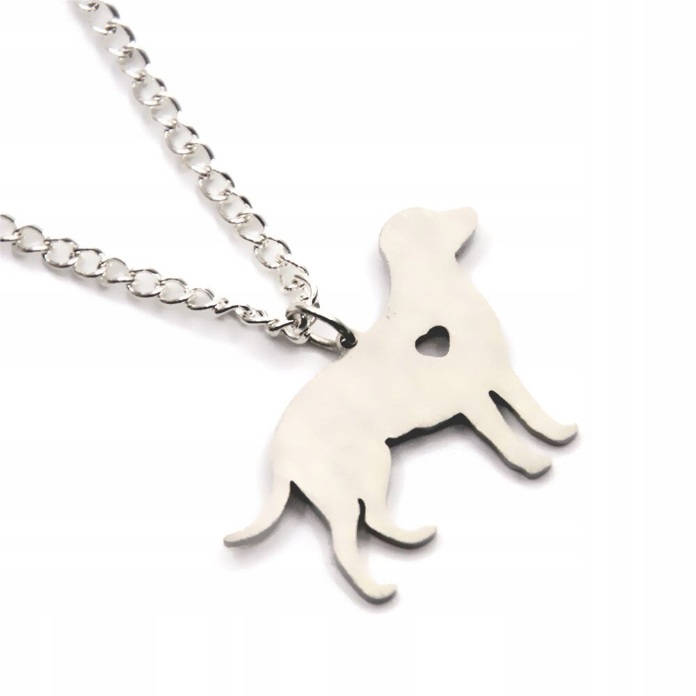 Naszyjnik Labrador/Golden Retriever srebrny