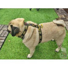 Szelki norweskie/Guard  Star Wars