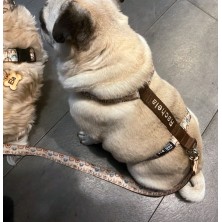 Szelki norweskie/Guard Boho Rainbow