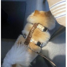 Szelki norweskie/Guard Boho Rainbow