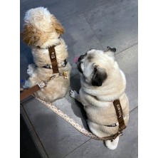 Szelki norweskie/Guard Boho Rainbow