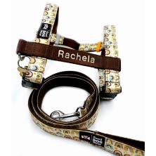 Szelki norweskie/Guard Boho Rainbow