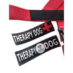 Szelki norweskie z napisem/logo/dowolnym tekstem