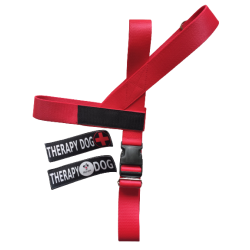 Szelki norweskie z napisem/logo/dowolnym tekstem