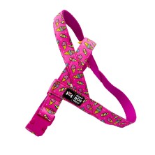 Szelki norweskie/Guard Lody Neon