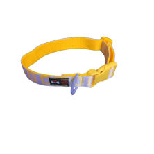 Obroża Friends ramka