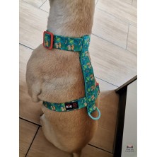 Szelki norweskie/Guard Król Lew