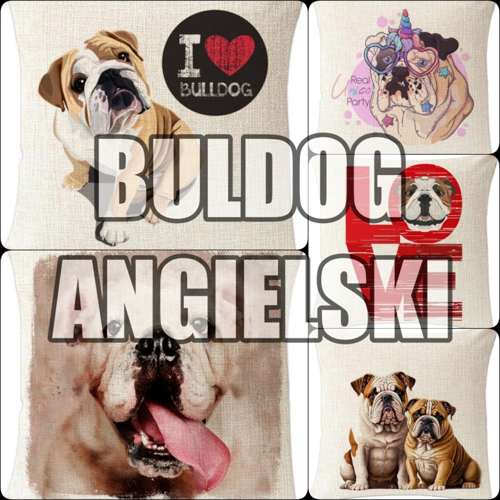 Poszewka na poduszkę Buldog Angielski