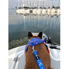 Szelki norweskie/Guard Kotwica granat