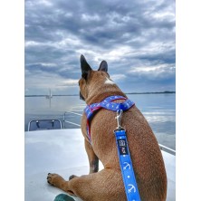 Szelki norweskie/Guard Kotwica granat