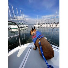 Chustka dla psa z Twoim nadrukiem