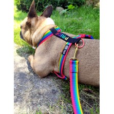 Szelki PRIDE