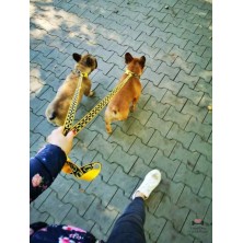 Smycz Batman żakardowy