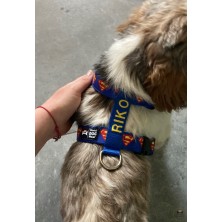 Szelki norweskie/Guard Superman