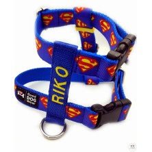 Szelki norweskie/Guard Superman