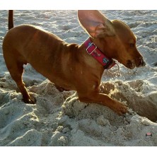 Obroża SuperGirl pink