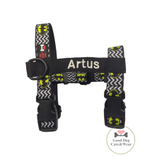 Szelki norweskie/Guard Batman zygzak