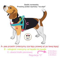 Szelki norweskie/Guard komiks biały