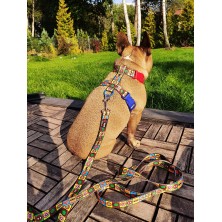 Szelki norweskie/Guard MARVEL