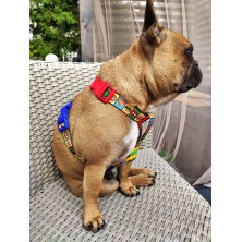 Szelki norweskie/Guard MARVEL