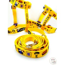 Szelki norweskie/Guard Friends2