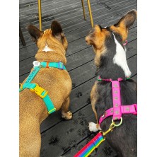 Szelki norweskie/Guard Marihuana różowa