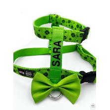 Szelki norweskie/Guard Koniczyna