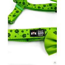 Szelki norweskie/Guard Koniczyna