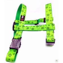 Szelki norweskie/Guard Koniczyna