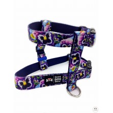 Szelki norweskie/Guard Bratki