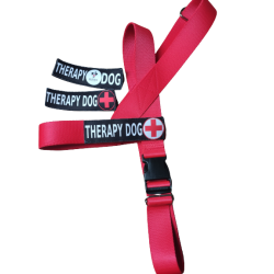 Szelki norweskie/Guard bez nadruku