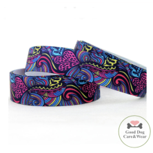 Szelki norweskie/Guard Kolorowy wzór