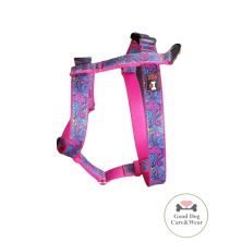 Szelki norweskie/Guard Kolorowy wzór