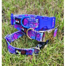 Obroża Kolorowy wzór