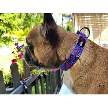 Obroża Kolorowy wzór