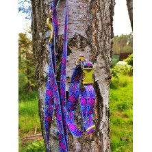 Obroża Kolorowy wzór