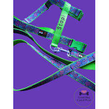 Szelki norweskie/Guard Kolorowy wzór