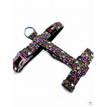 Szelki norweskie/Guard Love Peace Music