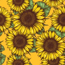 Szelki norweskie/Guard...