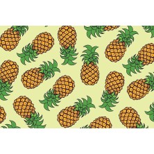 Szelki Ananas 1