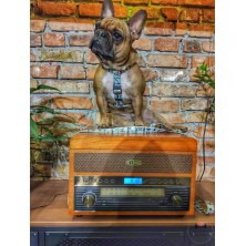 Szelki norweskie/Guard Banksy