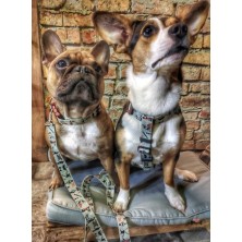 Szelki norweskie/Guard Banksy