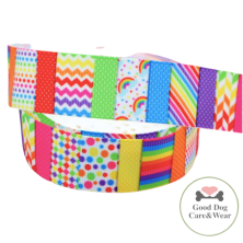 Obroża Kolorowe wzory