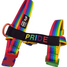 Szelki norweskie/Guard PRIDE tęcza