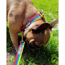 Smycz PRIDE tęcza